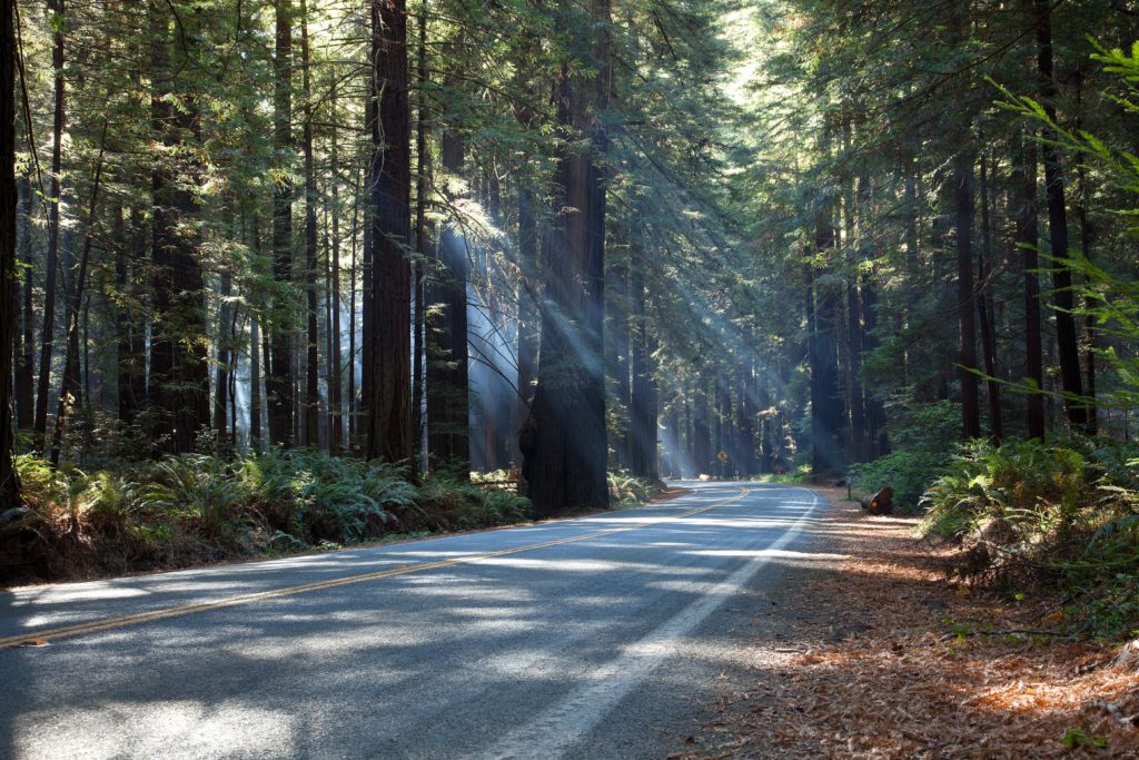 Scenic Drives US - the Mattole Rd - CA